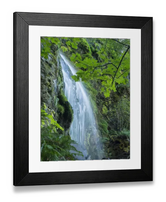 Framed Print : Oregon, Columbia River Gorge National Scenic Area, Lancaster Falls Framed Print : Oregon, Columbia River Gorge National Scenic Area, Lancaster Falls