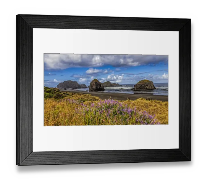 Framed Print : USA, Oregon, Cape Sebastian Framed Print : USA, Oregon, Cape Sebastian