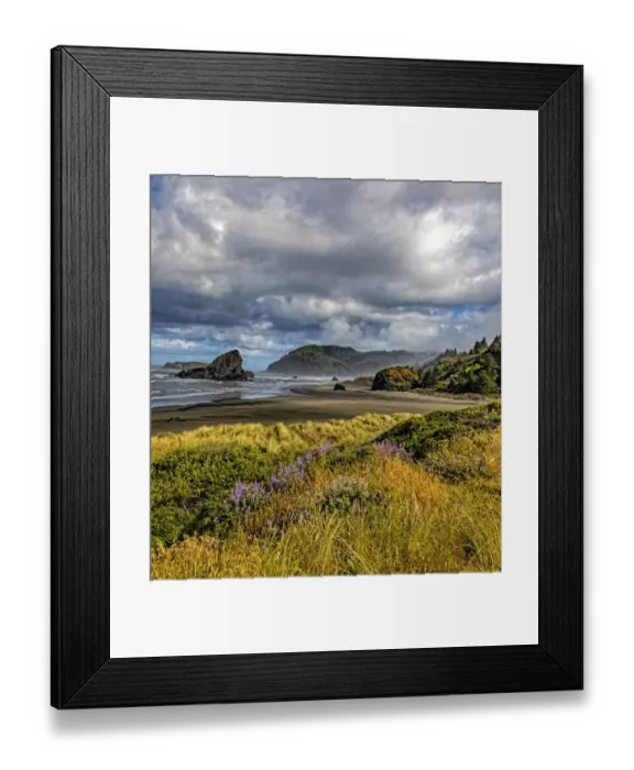 Framed Print : USA, Oregon, Cape Sebastian Framed Print : USA, Oregon, Cape Sebastian