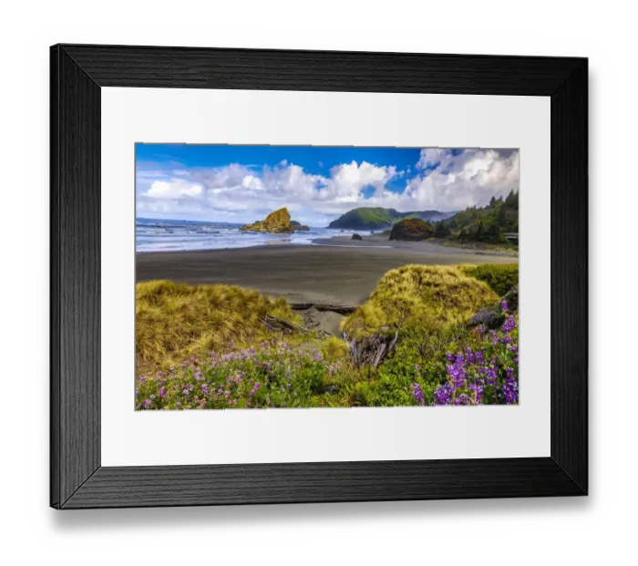 Framed Print : USA, Oregon, Cape Sebastian Framed Print : USA, Oregon, Cape Sebastian