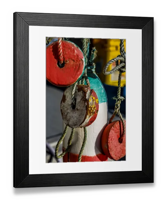 Framed Print : USA, Oregon, Charleston