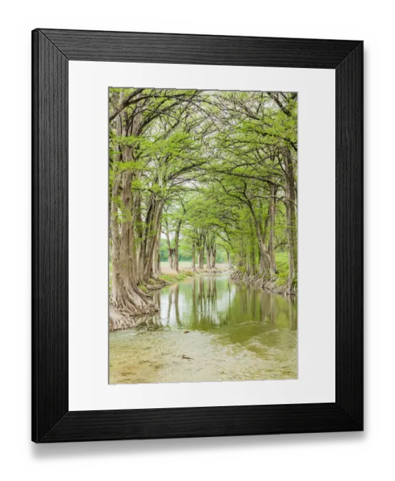 Framed Print : Waring, Texas, USA. Trees along the Guadalupe River in the Texas Hill Country