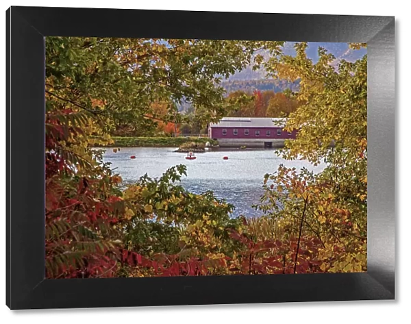 USA, New Hampshire, Gorham, Fall colored trees framing Androscoggin River near damn site