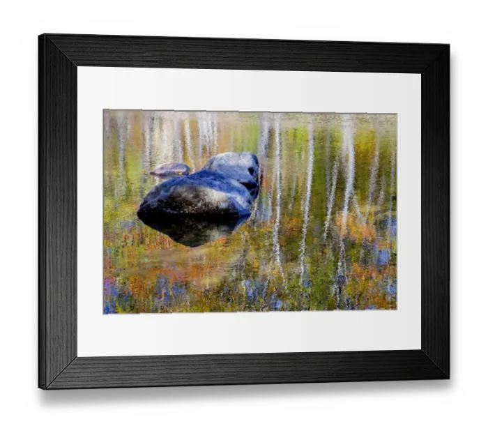 Framed Print : USA, New Hampshire, Gorham Autumn colors reflected in small pond Framed Print : USA, New Hampshire, Gorham Autumn colors reflected in small pond