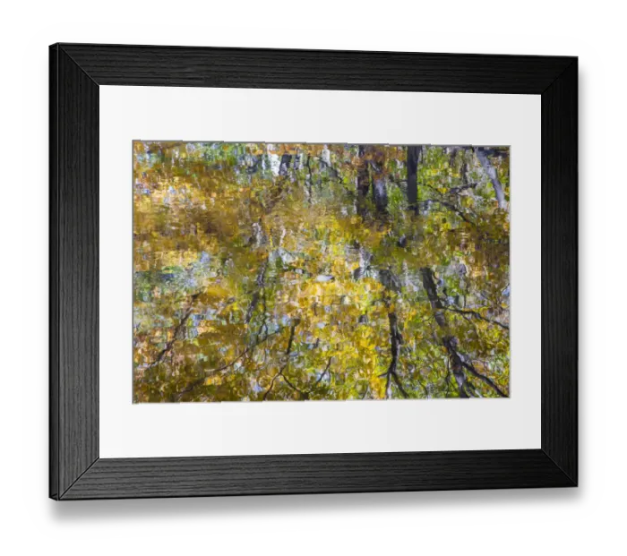 Framed Print : USA, New Hampshire, Gorham Autumn colors reflected in small pond