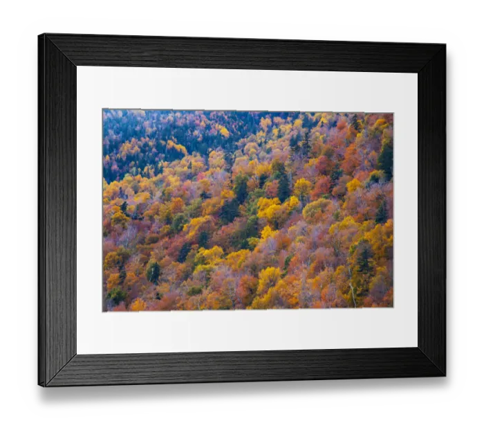 Framed Print : USA, New Hampshire, New England Fall colors on hillsides along highway 16 north of Framed Print : USA, New Hampshire, New England Fall colors on hillsides along highway 16 north of