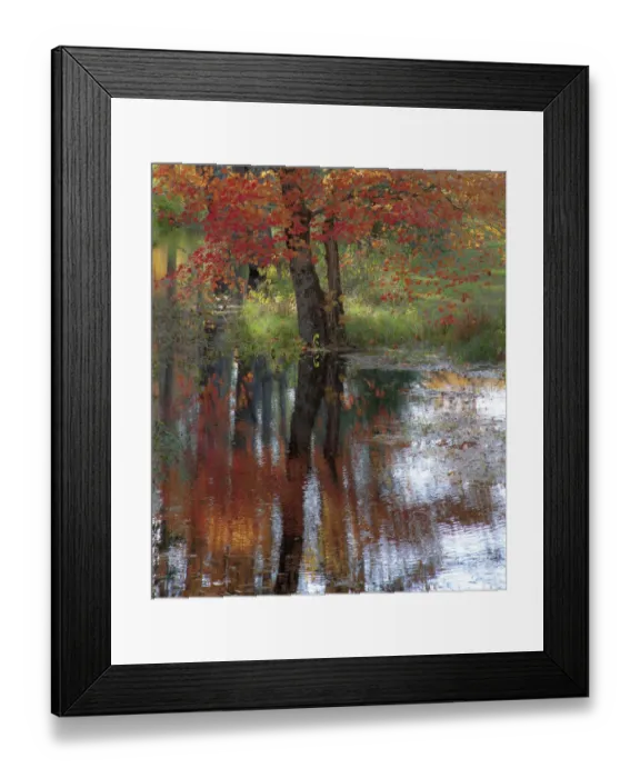 Framed Print : USA, New Hampshire, Jackson, Autumn in New England with Fall Color of Maple Tree