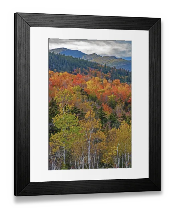 Framed Print : USA, New Hampshire, New England Fall colors on hillsides along highway 16 north of Framed Print : USA, New Hampshire, New England Fall colors on hillsides along highway 16 north of