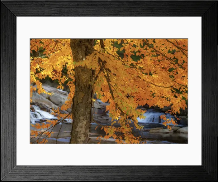Framed Print : USA, New Hampshire, Jackson, Jackson Falls with American Beech in full Autumn color