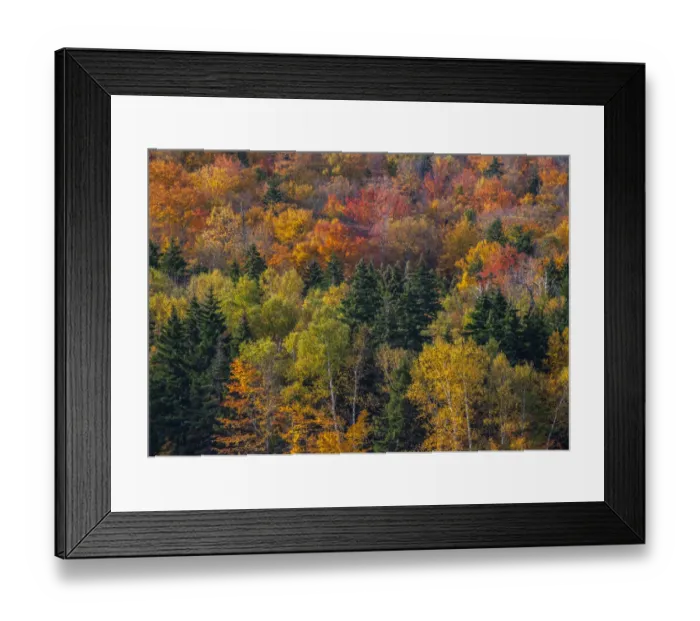 Framed Print : USA, New Hampshire just north of Jackson on highway 16 with the hillside covered in