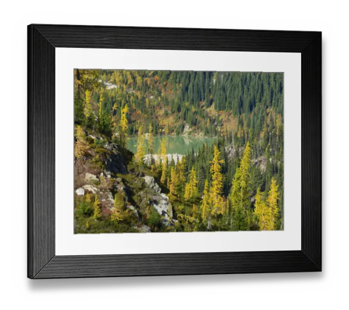 Framed Print : Washington State, North Cascades, Lewis Lake, view from Heather Pass Framed Print : Washington State, North Cascades, Lewis Lake, view from Heather Pass