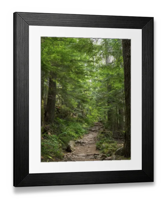 Framed Print : Washington State, Central Cascades, Granite Mountain trail Framed Print : Washington State, Central Cascades, Granite Mountain trail