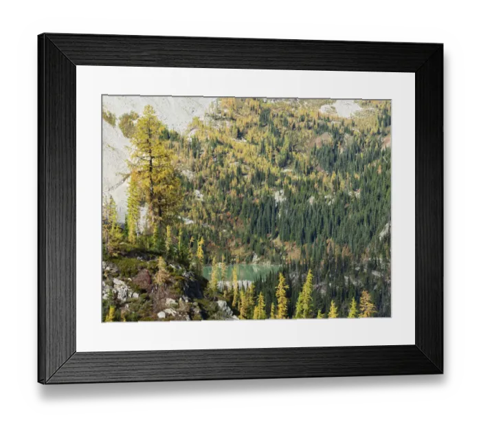 Framed Print : Washington State, North Cascades, Lewis Lake, view from Heather Pass Framed Print : Washington State, North Cascades, Lewis Lake, view from Heather Pass