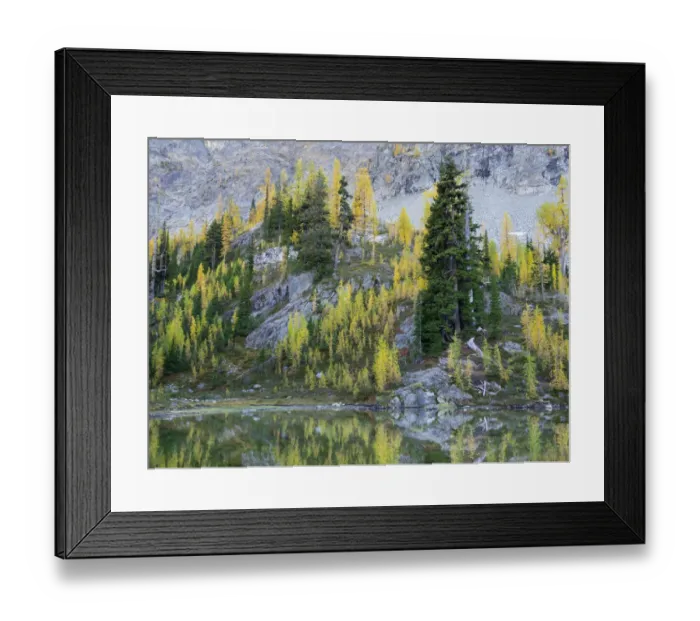 Framed Print : Washington State, North Cascades, Alpine Pond with Larch and Fir trees