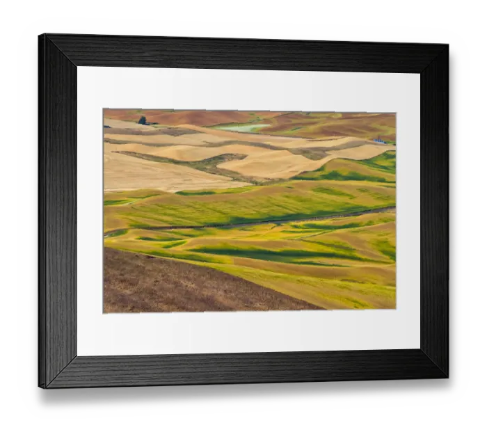 Framed Print : Landscape of rolling wheat field, Palouse, Washington State, USA