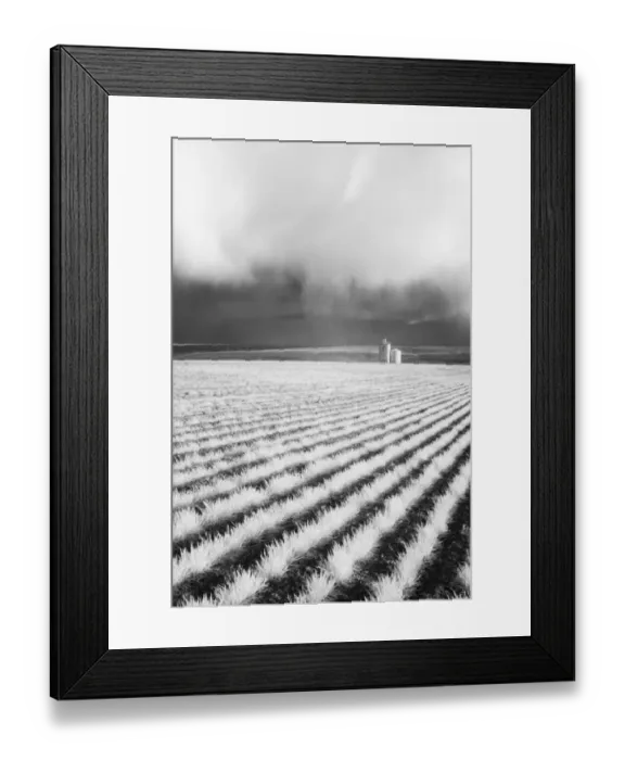 Framed Print : USA, Washington State, Silo with Storm front coming