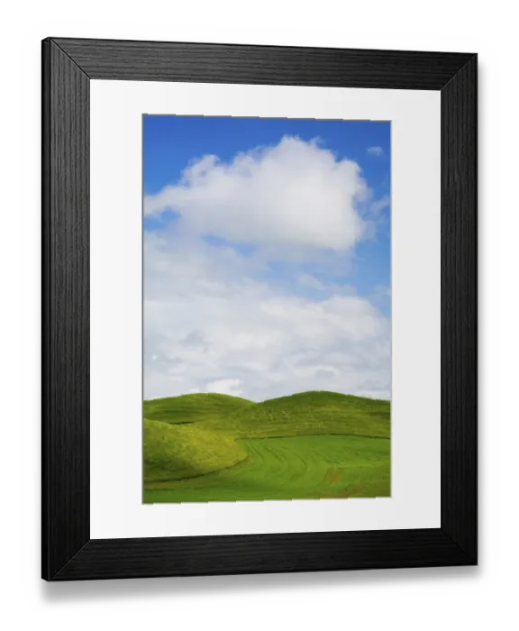 Framed Print : USA, Washington State, Palouse Region, Patterns in the fields of fresh green Spring wheat Framed Print : USA, Washington State, Palouse Region, Patterns in the fields of fresh green Spring wheat