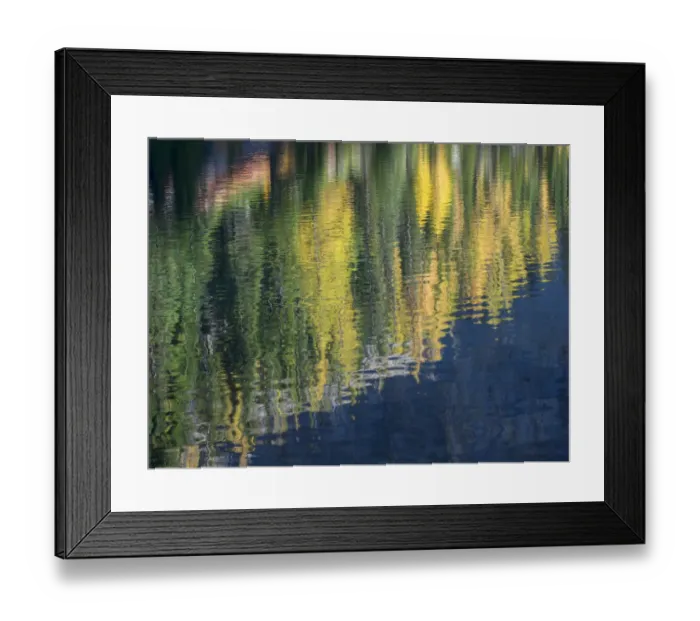 Framed Print : Washington State, North Cascades, Blue Lake, Larch tree reflections Framed Print : Washington State, North Cascades, Blue Lake, Larch tree reflections