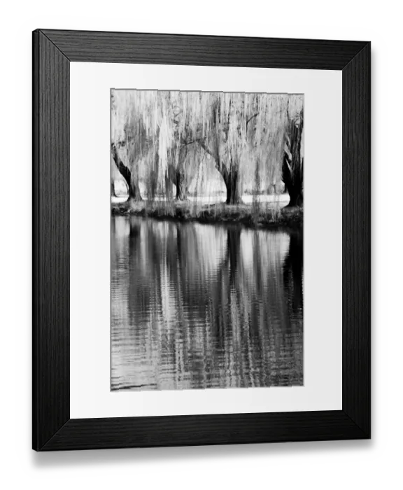 Framed Print : USA, Washington State, Eastern Washington. Weeping willow tree reflecting in pond Framed Print : USA, Washington State, Eastern Washington. Weeping willow tree reflecting in pond
