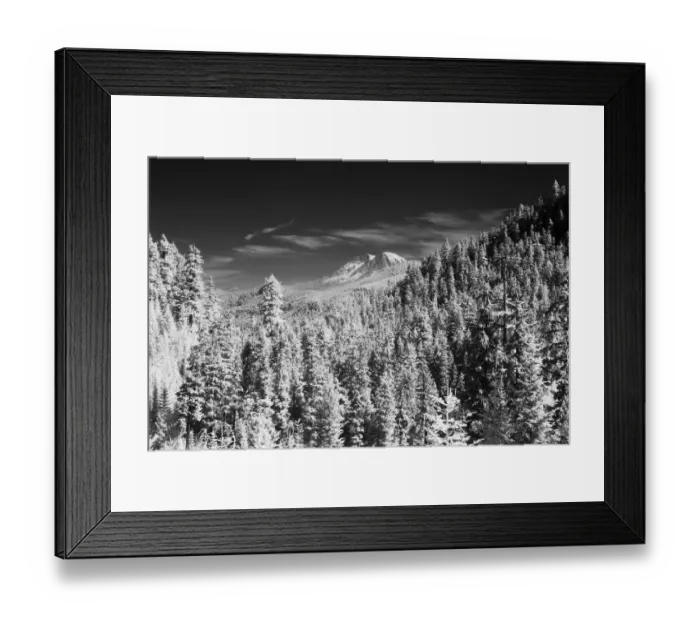 Framed Print : USA, Washington State, Mt. Rainier viewed from the South