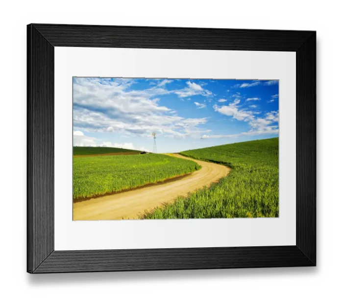 Framed Print : Winding backroad through Spring wheat fields, USA, Washington State, Palouse Region