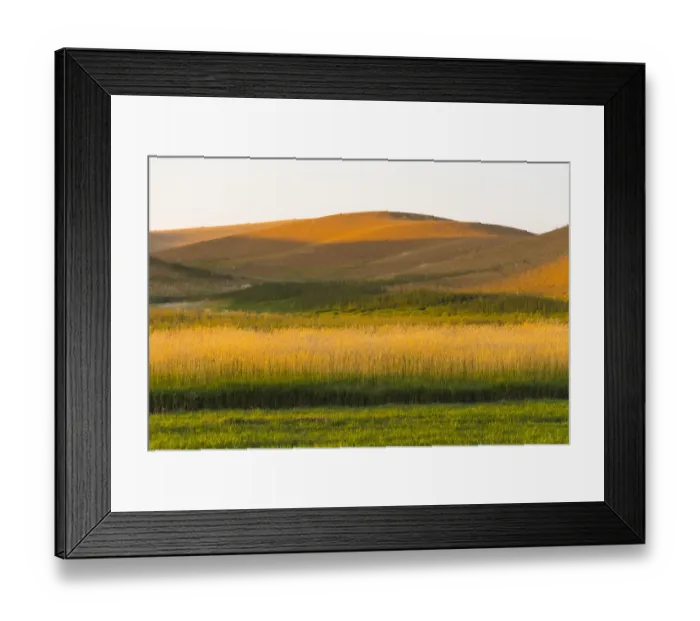 Framed Print : Sunset view of wheat field, Palouse, Washington State, USA