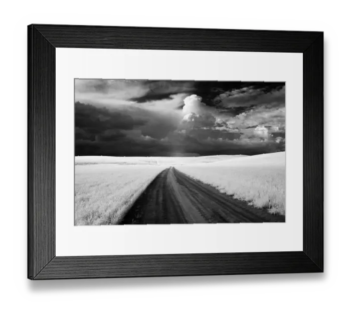 Framed Print : USA, Washington State, Country backroad