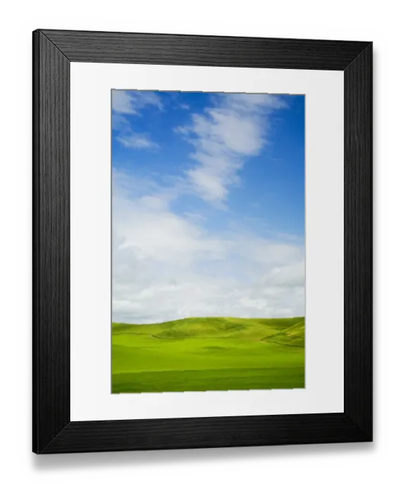Framed Print : USA, Washington State, Palouse Region, Patterns in the fields of fresh green Spring wheat Framed Print : USA, Washington State, Palouse Region, Patterns in the fields of fresh green Spring wheat