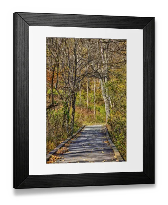 Framed Print : USA, Virginia, Shenandoah National Park, fall color in the park