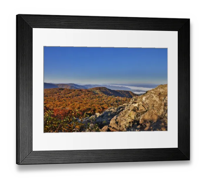 Framed Print : USA, Virginia, Shenandoah National Park, fall color in the park Framed Print : USA, Virginia, Shenandoah National Park, fall color in the park