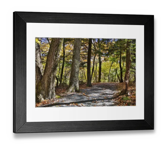 Framed Print : USA, Virginia, Shenandoah National Park, fall color in the park