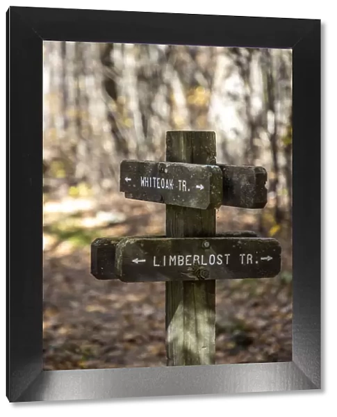 USA, Virginia, Shenandoah National Park, Wooden trail marker for the White Oak Trail