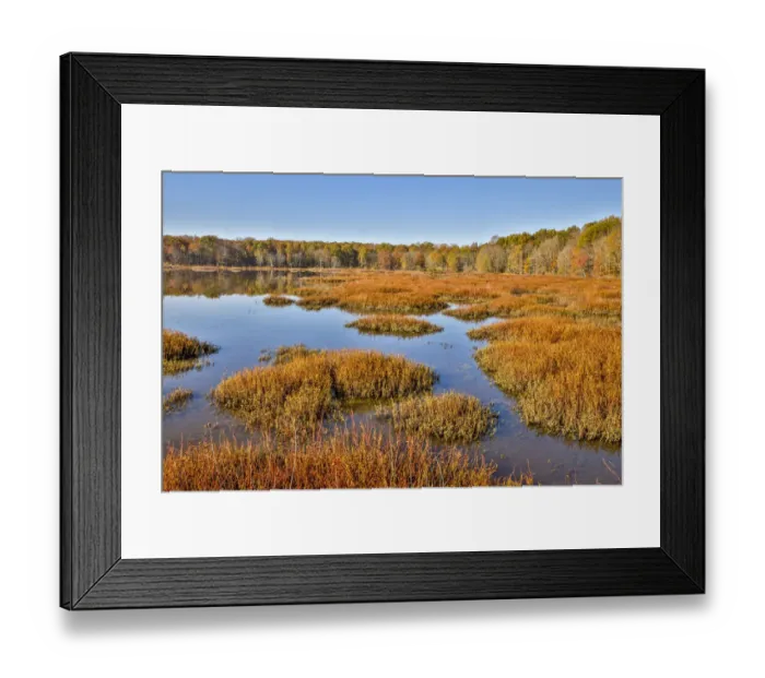 Framed Print : USA, Virginia, Alexandria, Huntley Meadows Park and fall color Framed Print : USA, Virginia, Alexandria, Huntley Meadows Park and fall color