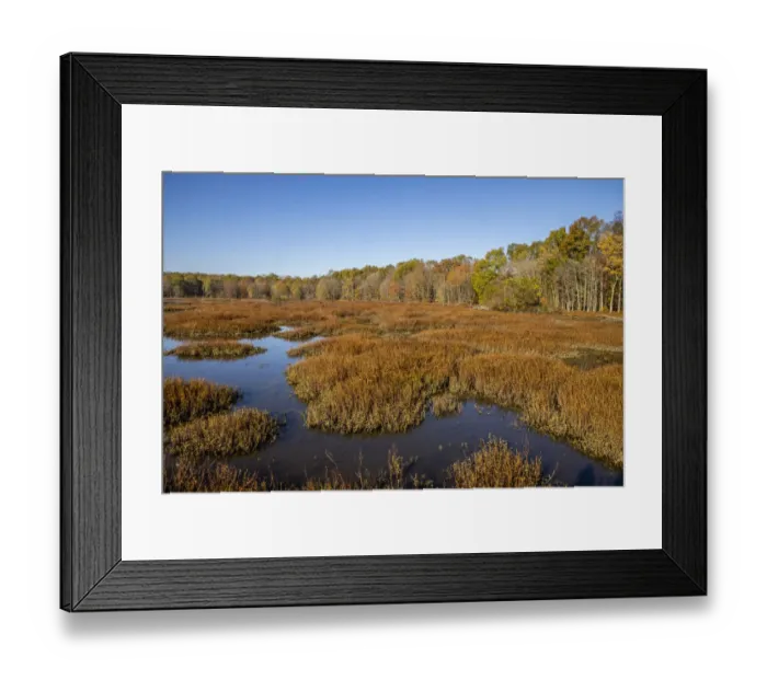 Framed Print : USA, Virginia, Alexandria, Huntley Meadows Park and fall color Framed Print : USA, Virginia, Alexandria, Huntley Meadows Park and fall color