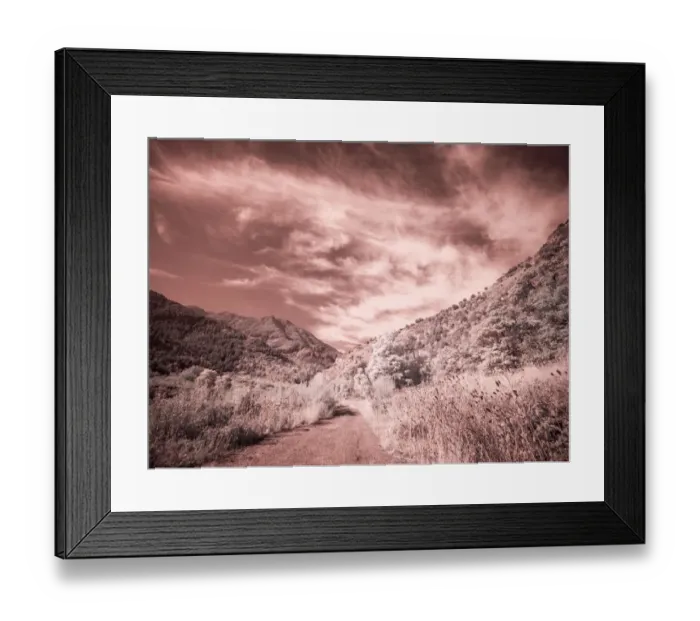 Framed Print : USA, Utah, Infrared of backroad in the Logan Pass area