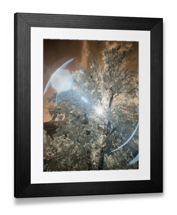 Framed Print : USA, Utah, Infrared of the Logan Pass area Framed Print : USA, Utah, Infrared of the Logan Pass area