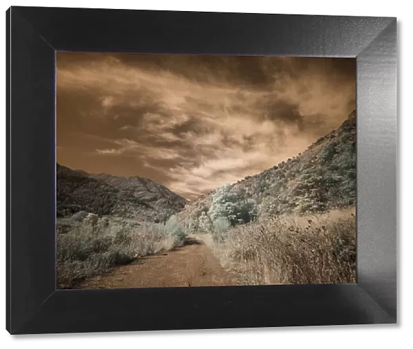 USA, Utah, Infrared of backroad in the Logan Pass area