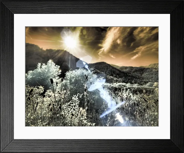 Framed Print : USA, Utah, Infrared of the Logan Pass area with sunrays