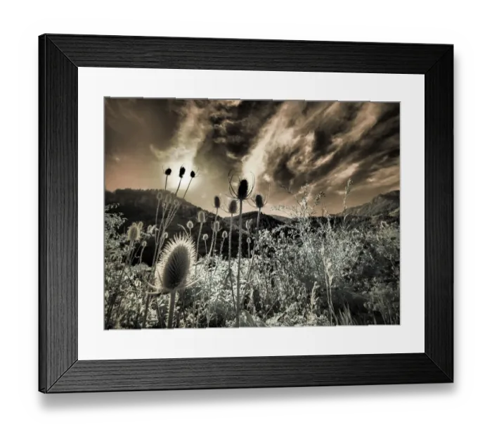 Framed Print : USA, Utah, Infrared of the Logan Pass area Framed Print : USA, Utah, Infrared of the Logan Pass area