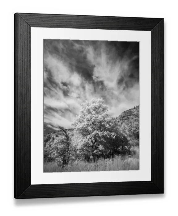Framed Print : USA, Utah, Infrared of the Logan Pass area and lone tree Framed Print : USA, Utah, Infrared of the Logan Pass area and lone tree