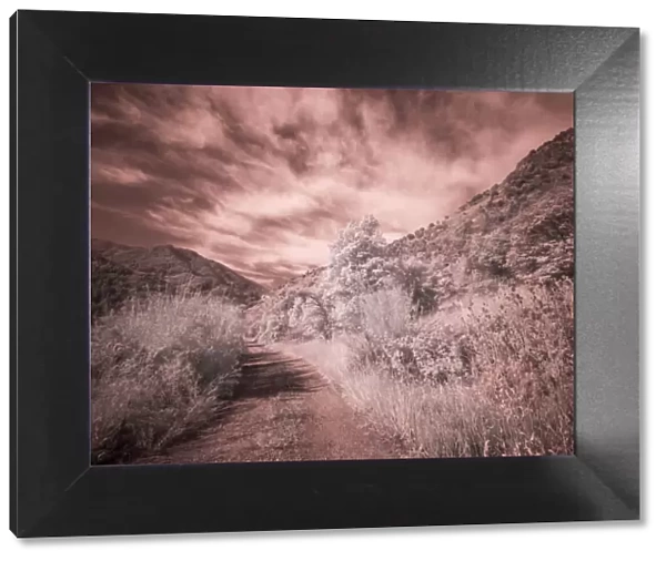 USA, Utah, Infrared of backroad in the Logan Pass area