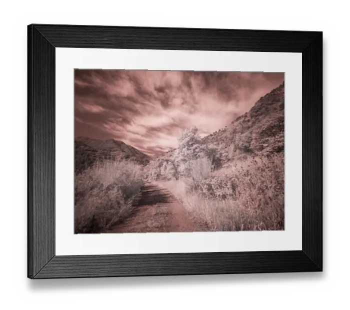 Framed Print : USA, Utah, Infrared of backroad in the Logan Pass area