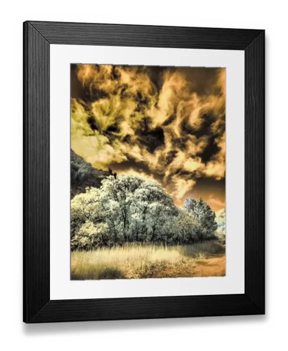 Framed Print : USA, Utah, Infrared of the Logan Pass area and lone tree Framed Print : USA, Utah, Infrared of the Logan Pass area and lone tree