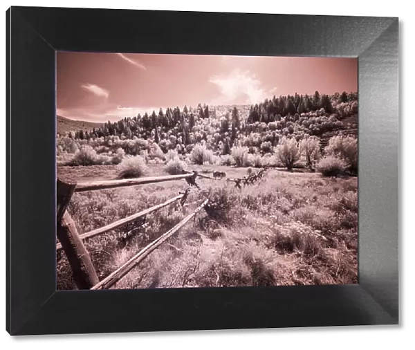 USA, Utah, Infrared of the Logan Pass area with long rail fence