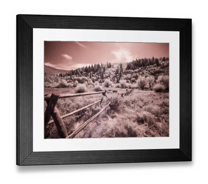 Framed Print : USA, Utah, Infrared of the Logan Pass area with long rail fence
