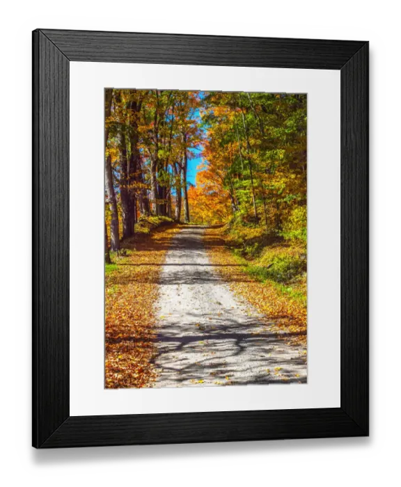 Framed Print : USA, New England, Vermont gravel road lined with sugar maple in full Fall color Framed Print : USA, New England, Vermont gravel road lined with sugar maple in full Fall color