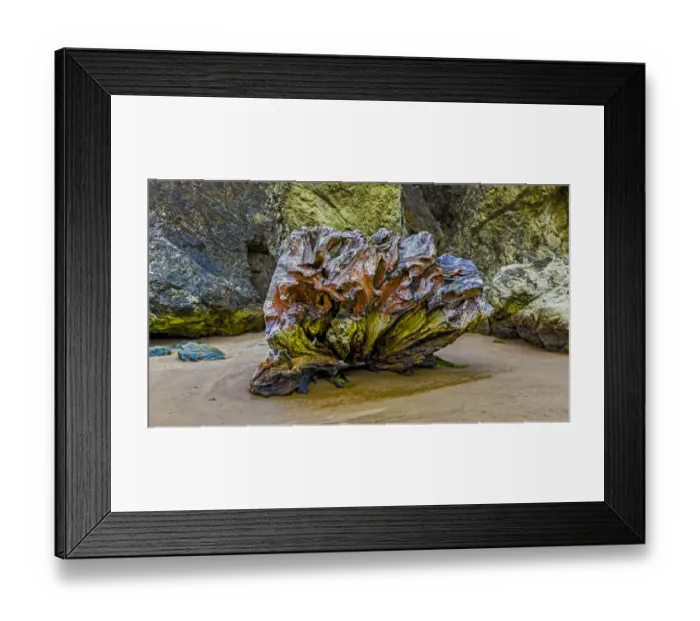Framed Print : USA, Oregon, Bandon, Beach Framed Print : USA, Oregon, Bandon, Beach