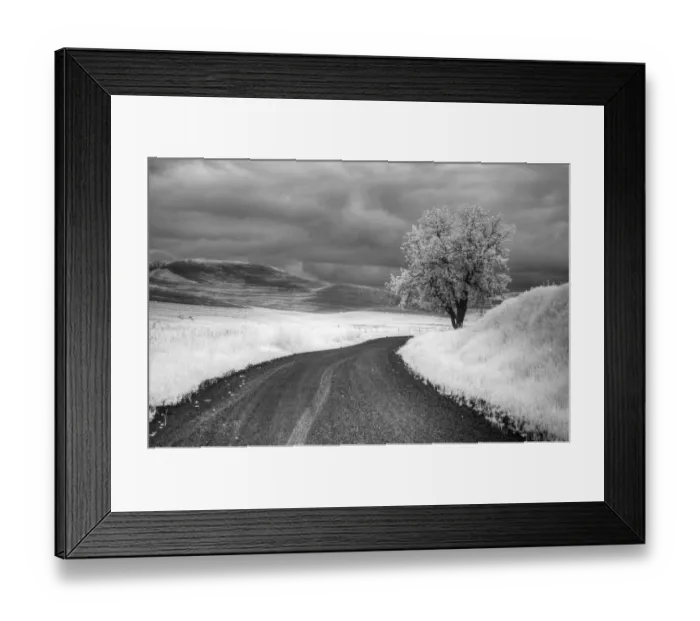 Framed Print : USA, Infrared Palouse fields, Backroad and Tree Framed Print : USA, Infrared Palouse fields, Backroad and Tree