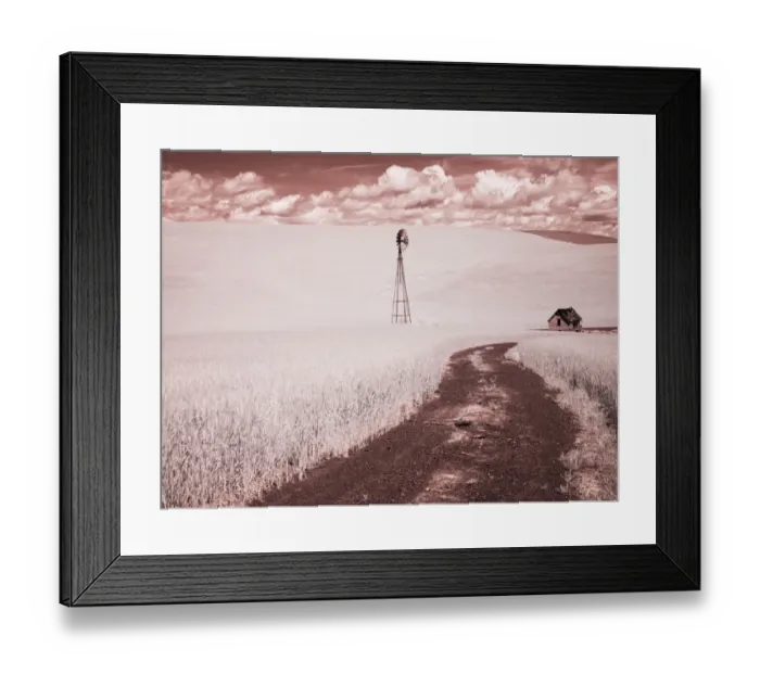 Framed Print : USA, Washington State, Palouse. Backroad through wheat field Framed Print : USA, Washington State, Palouse. Backroad through wheat field