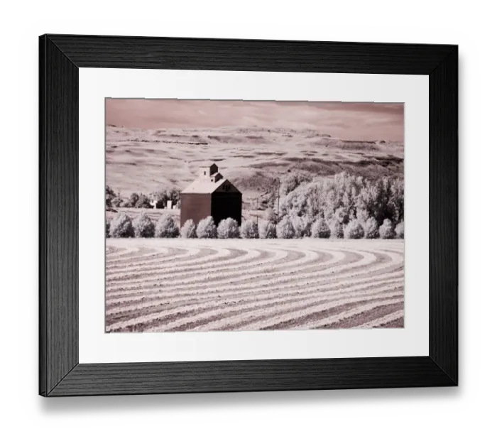 Framed Print : USA, Washington State, Palouse. Harvest lies in field with barn Framed Print : USA, Washington State, Palouse. Harvest lies in field with barn